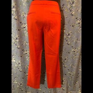 **BRAND NEW** Fashionable Dress Pants